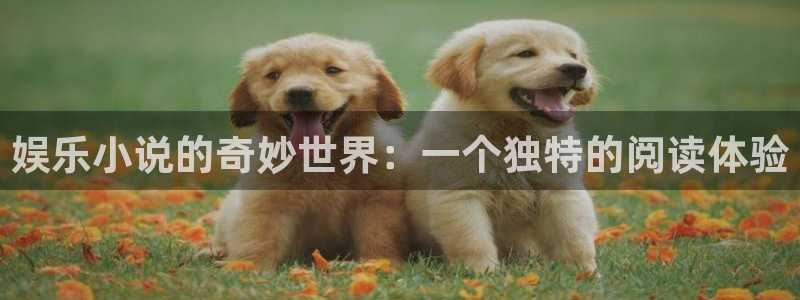 南宫长运平台：娱乐小说的奇妙世界：一个独特的阅读体验