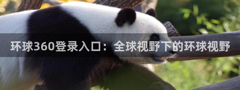 长运平台注册官网入口：环球360登录入口：全球视野下的环球视野