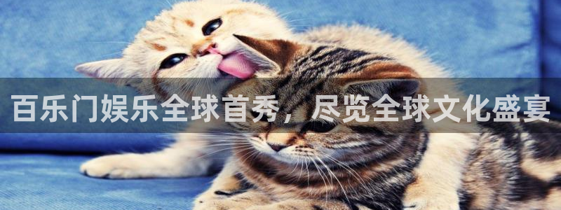 长运平台app下载：百乐门娱乐全球首秀，尽览全球文化盛宴