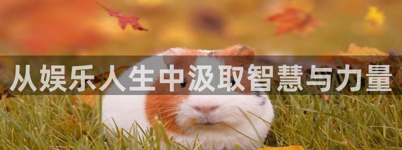 长运平台.ccm苹果版：从娱乐人生中汲取智慧与力量