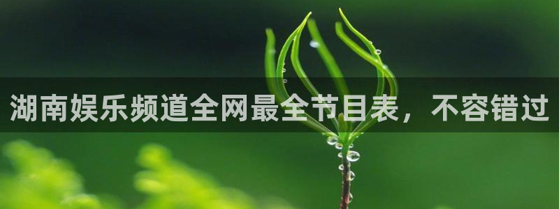 长运平台是什么平台：湖南娱乐频道全网最全节目表，不容错过