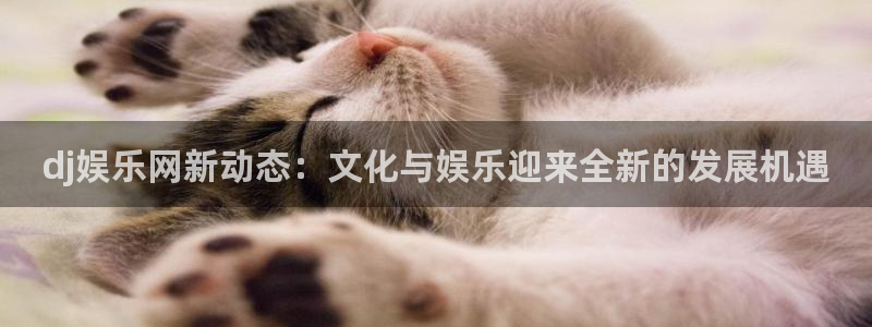 长运平台app：dj娱乐网新动态：文化与娱乐迎来全新的发展机遇