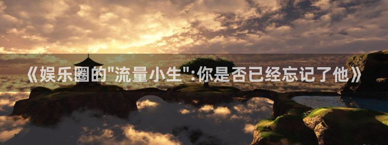 壹号电子娱乐app：《娱乐圈的\