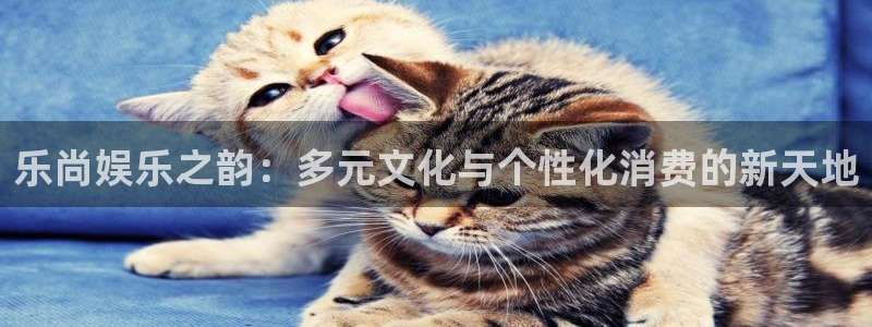 长运平台充值怎么退款：乐尚娱乐之韵：多元文化与个性化消费的新天地