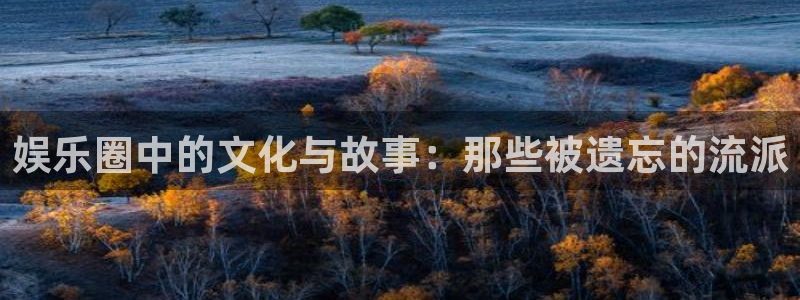 长运平台下载地址：娱乐圈中的文化与故事：那些被遗忘的流派