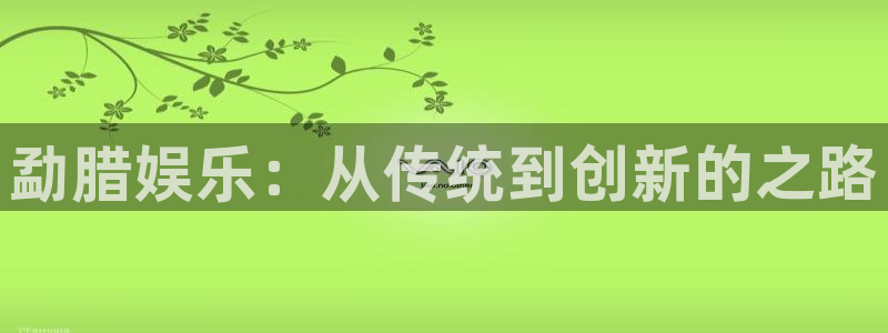 壹号注册入口app下载：勐腊娱乐：从传统到创新的之路