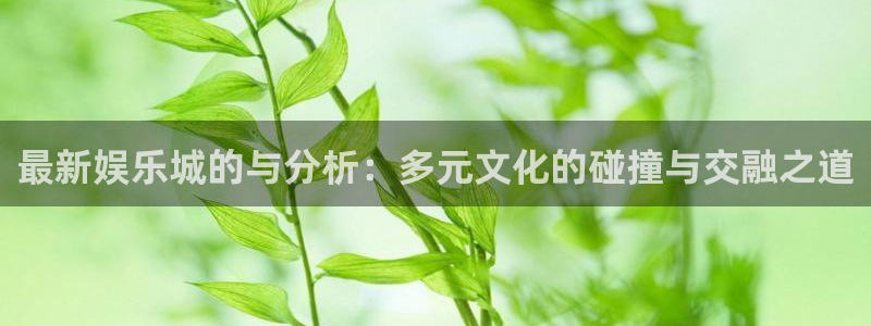 长运平台：最新娱乐城的与分析：多元文化的碰撞与交融之道