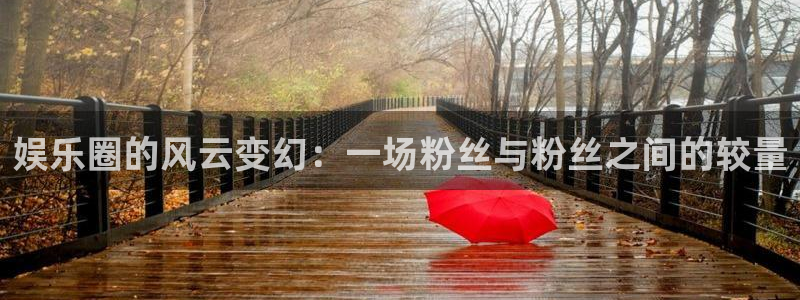 壹号大舞台入口：娱乐圈的风云变幻：一场粉丝与粉丝之间的较量