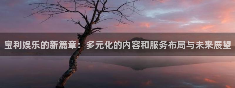 长运平台平台：宝利娱乐的新篇章：多元化的内容和服务布局与未来展望
